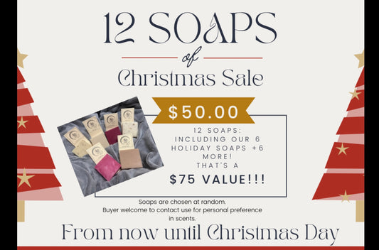 12 soaps of Christmas bundle